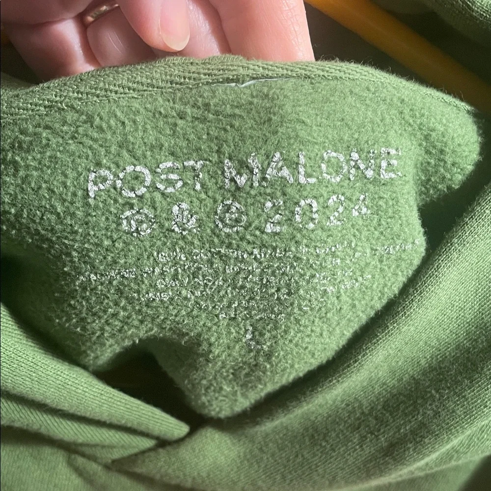Post Malone 2024 concert F-1 Trillion Hoodie - Picture 3 of 10